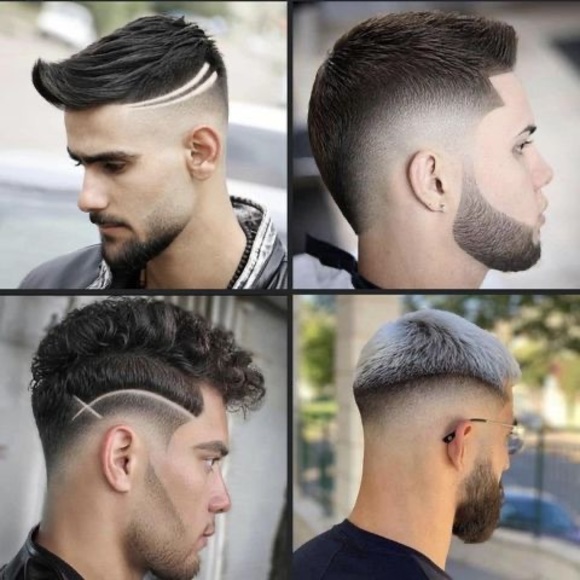 Meet your Posher, Benjamin - Picture 1 of 1